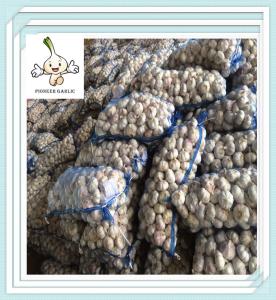 Wholesale Popular Unique Style top sale pure white garlic 6.0cm types of 2016 hot sale garlic from china suppliers