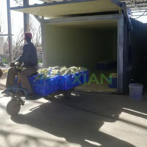 Wholesale New Vacuum Agriculture Cooling Machine for Vegetable/Fruit/Mushroom/Flower Farm from china suppliers