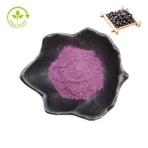 China Wholesale Best Price Black Bean Skin Extract Anthocyanin Black Bean Peel Extract Powder on sale