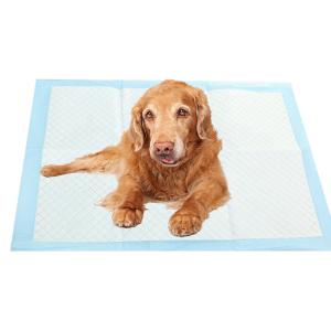 Wholesale Pet Dog Urine Pad Small Animals Length X Width mm 600X350 600X450 600X600 900X600 from china suppliers