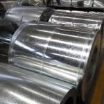 Hot Dipped Galvanized Steel Coil Dx51d Dx52D Dx53D G350 G450 G550 1000mm 1200mm