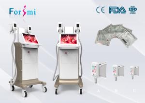 Wholesale lipodissolve1800 W Cryolipolysis Slimming Machine FMC-I Fat Freezing Machine from china suppliers