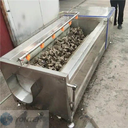Premium Food Washing Machine Ensuring Hygienic Food Preparation Without Fail