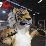 Performance Ealistic Adult Tiger Costume Youth Age Size Customized