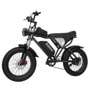 China 48V 1000W 20Ah 20 X4.0 Fat Tire Electric Mountain Bike With Removable Battery on sale