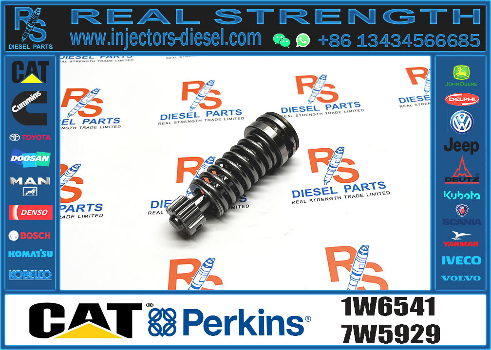 Diesel Fuel Injection Pump Plunger 1w6541 4p9830 9h5797 6n7527 7W5929 9H5797 4P9830 6N7525