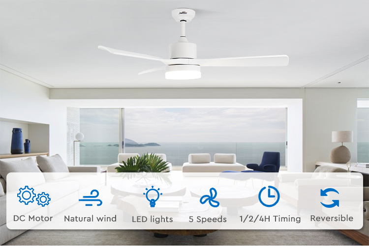 ceiling fan