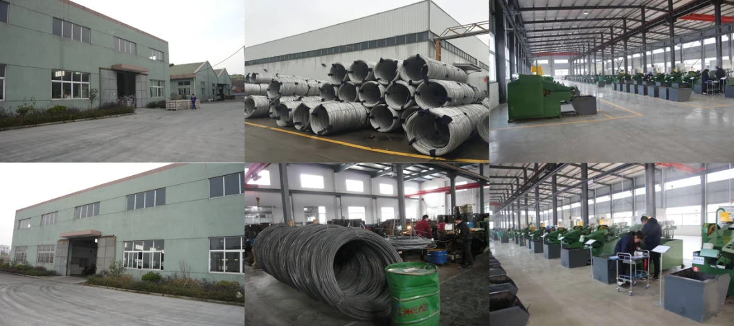 Stainless Steel Universal Hook with Standards