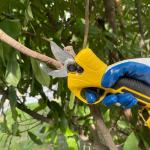 Electric Pruner Branch Cutter 21V Brushless Motor Cordless Pruning Shears