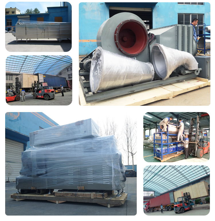1000kg/h Capacity Automatic Versatile Dog Food Production Line for Versatile Solutions