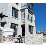 NEWNESS Preferred Paint for Walls 5000 Times Scrub Resistance Base on Color
