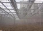 Polycarbonate Homemade Single Tunnel Greenhouse Good Thermal Insulation