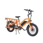 Fashionable Dual Battery Electric City Bike with LCD Display and Hydraulic Brake