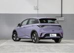 Luxury Chinese Comfortable Sport New Energy Automatic Battery BYD EV Car Whale