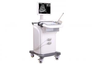 Wholesale Trolley Ultrasound Scanner 236 Frames , Digital Ultrasound Machine With Video Printer from china suppliers