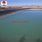 HDPE Geomembrane Waterproof 0.75mm 1mm Biofloc Tarpaulin Fish Tank Farming Pond