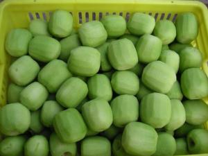 Wholesale Grade A IQF Frozen Fruit / Fresh Kiwi Various Shape Or Size Optional from china suppliers
