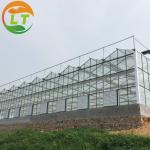 LITAI Greenhouse end Hot-dip Galvanized Steel Planting Greenhouse with Glass