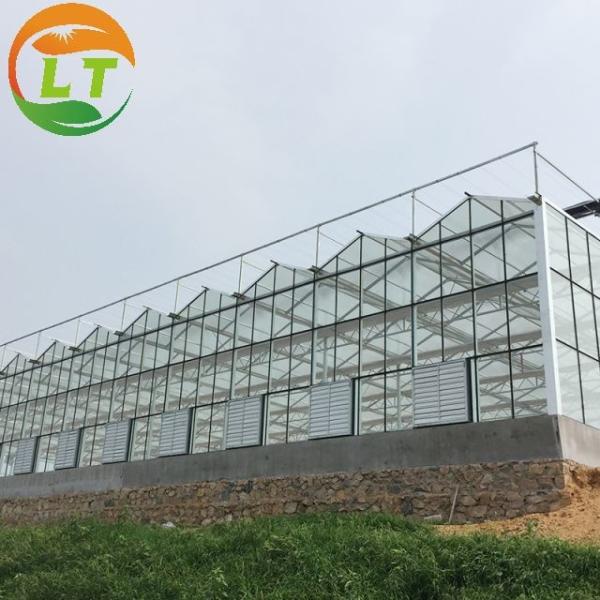 LITAI Greenhouse end Hot-dip Galvanized Steel Planting Greenhouse with Glass