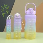 Humanized Design 550/750/1000ML Portable Plastic Water Bottle 1 Litre Gradient