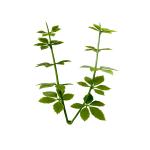 Privacy 1.6''X10'' Faux Plant Wall Panels Backyard