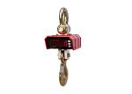 50T Hanging Crane Scale , Ocs Digital Hanging Weighing Scale