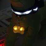PET LED flashing collar necklace Buckle Safety Night Light bone dog ID tag