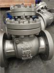 Casting Steel Swing Type Check Valve DN100 PN40