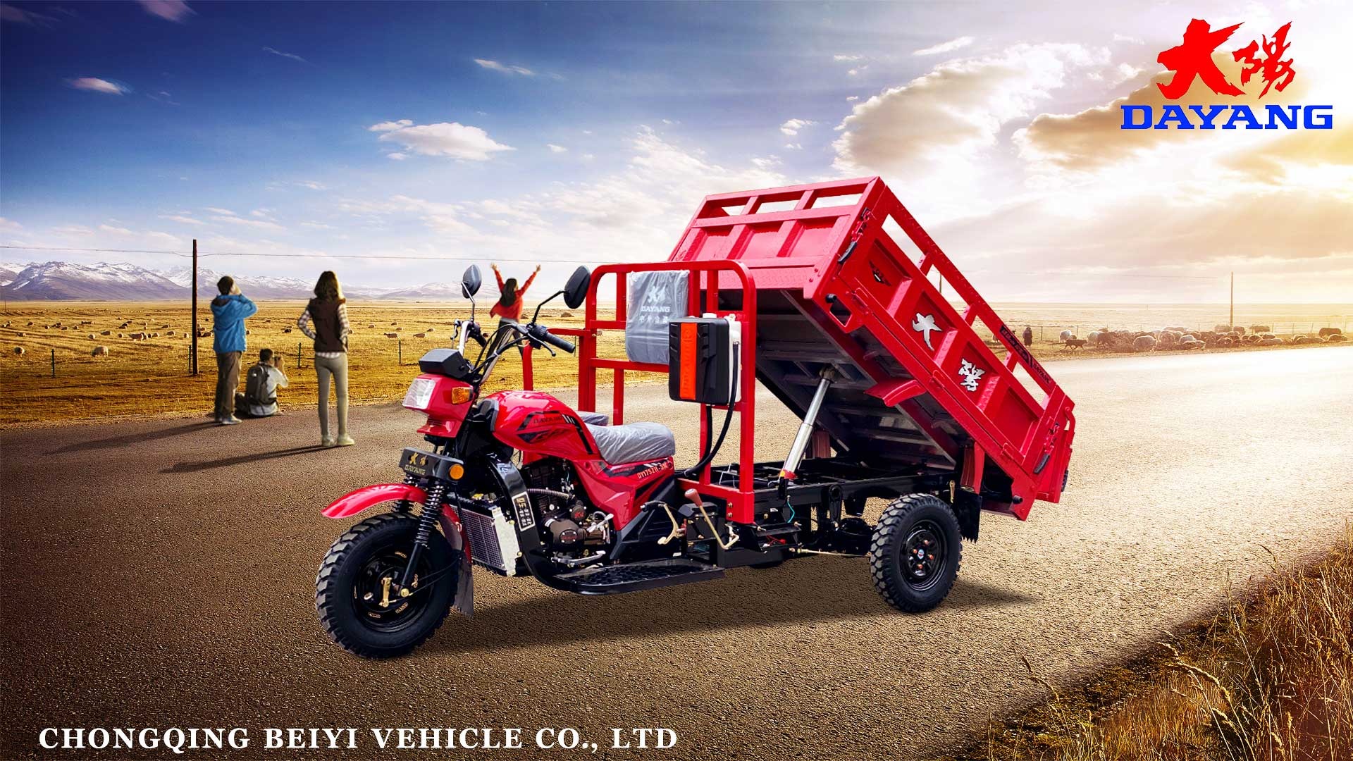 Maximum Speed 50-70Km/h Super Powerful Engine Cargo Tricycle for Adult in South Africa