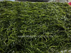 Wholesale 1 Year Shelf Life Kelp Kombu Sprouts Sea Vegetable Green Color Umami Taste from china suppliers