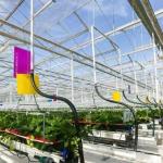 Roofing Shape A Type Roof Hydroponic System For Glass Greenhouse Vegetables