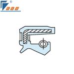 Automobile FKM Rubber Air Compressor Oil Seal High Pressure Rotary TC Oil