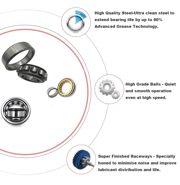 NF210 Cylindrical Roller Bearing Size 50*90*20 Mm Electromotor Use For Bearing