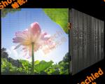 SMD3528 Led Light Package Clear LED Display Panel for Indoor in Commercial