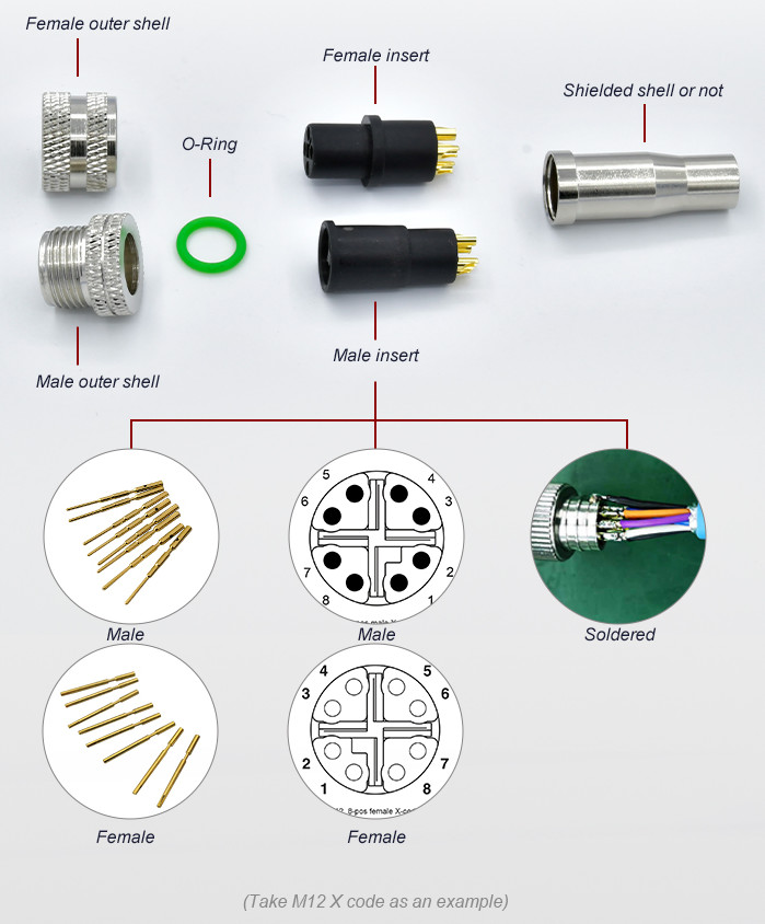 Circular M12 To M8 3-12 Contacts A-X Coded Sensor Outdoor Ip68 Cable Connector M12 M8 Auto Wire