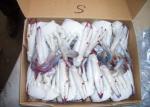 Portunus Crab Blue Swimming Crab , Half Cutted Sea Crab Iso Brc Certification