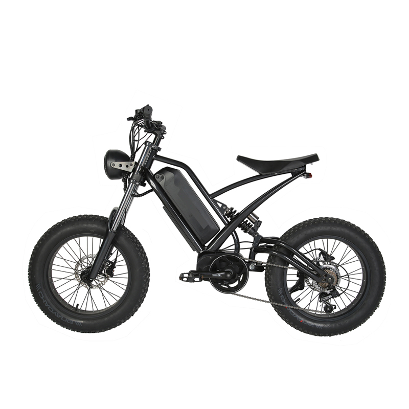 Range per Power 60 km 750W 48V Style Dirt Bike for Adults CE FCC Rohs Certified