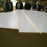 Commercial Full Hardwood Core 15mm Melamine Faced Ply