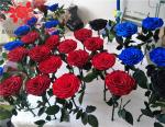 10cm Preserved Flower Rose with Stem Long 30cm Real natural fresh roses