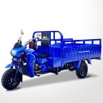 Motorized 800 W DAYANG 300 Petrol 3 Wheel Motorcycle and Tricycle for Heavy