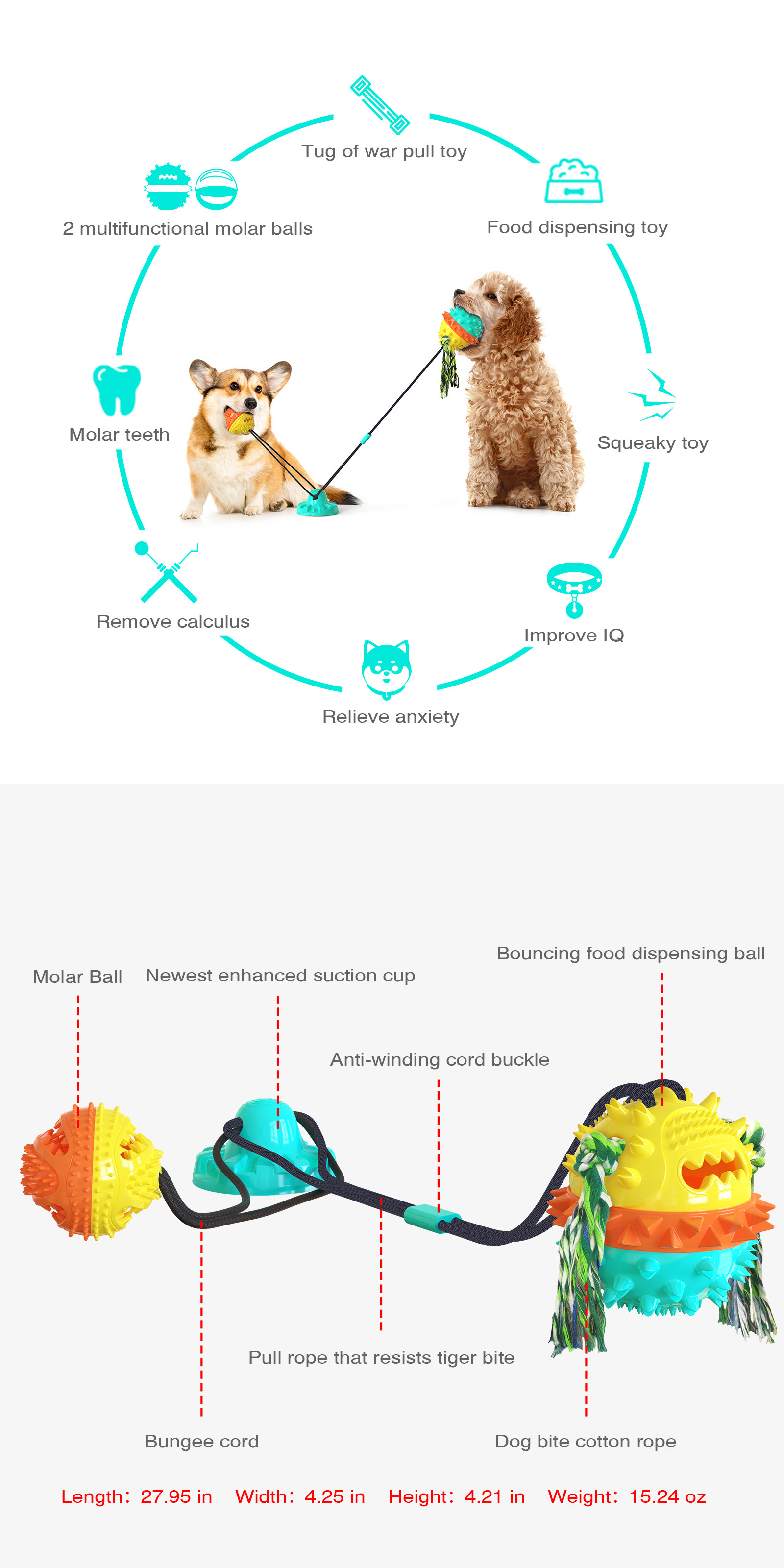 Molar Dog Chew Toy Teeth Cleaner TPR Sucker Draw Rope Ball