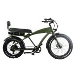 DOMANCA Standard Fat Tire Electric Bike with 2 Seat Lithium Battery Power Supply
