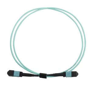Wholesale OM3 12F MPO To MPO Fiber Cable from china suppliers