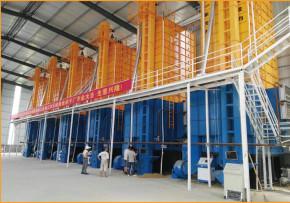 Wholesale Indirect Heating 10000kg Rice Paddy Dryer Machine Low Temperature Circulating from china suppliers