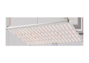 Wholesale UL AC277V Dimmable Led Grow Light For Indoor Grow from china suppliers
