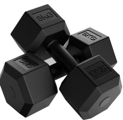 Custom Logo Hex Dumbbell Free Weights Home Fitness Workout for Arms Made of Iron