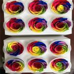 rainbow rose Eternal real preserved rainbow roses 5-6cm Fresh Stabilized rainbow