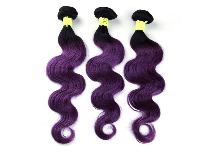 Purple Ombre Virgin Hair Bundles Deep Curly Weave Natural Color Mshere Human Hair