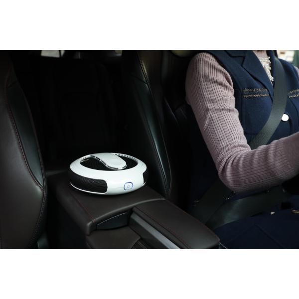 Portable 12V PM2.5 Air Freshener Purifier Car Use RoHS Approval
