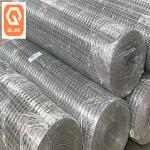 Hot Dipped Galvanized Steel PVC Coated Welded Wire Mesh 304 Stainless Steel